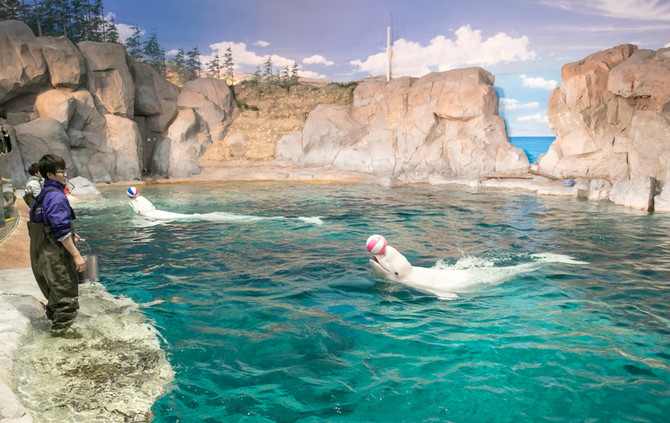 名古屋水族館