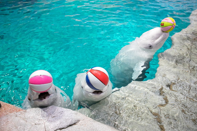 名古屋水族館