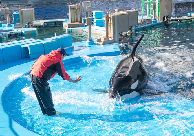 名古屋水族館