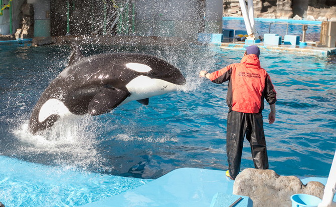 名古屋水族館