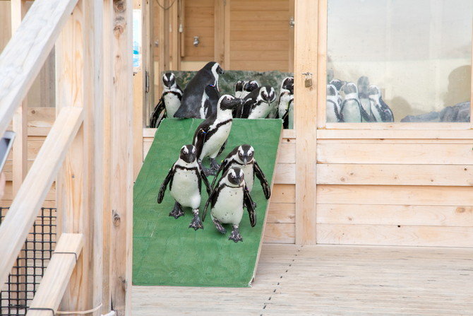 名古屋水族館