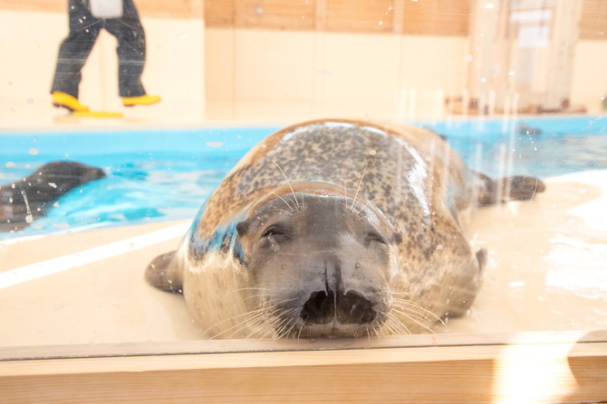 名古屋水族館