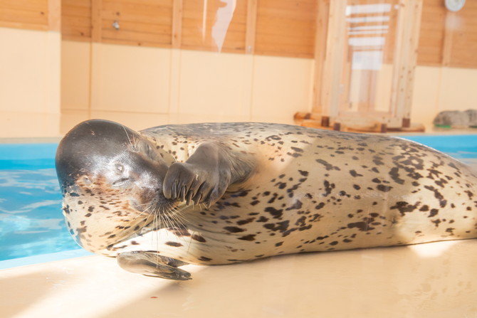 名古屋水族館