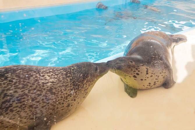 名古屋水族館