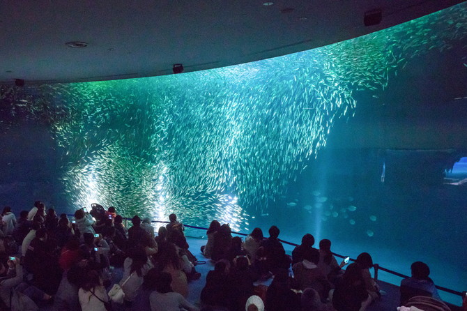 名古屋水族館