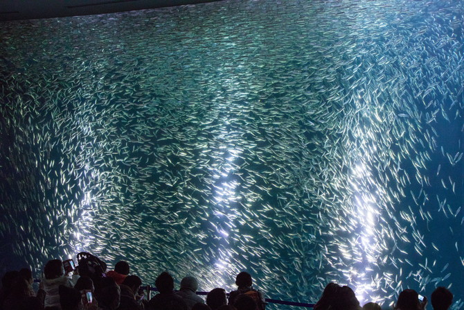 名古屋水族館