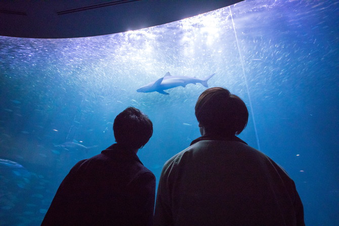 名古屋水族館