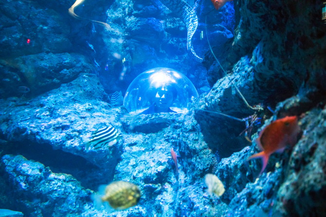名古屋水族館