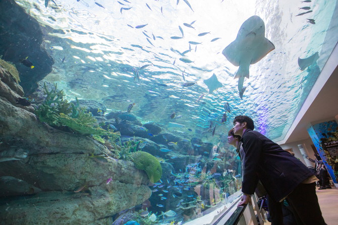 名古屋水族館
