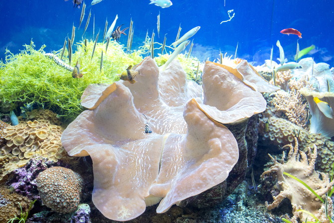 名古屋水族館