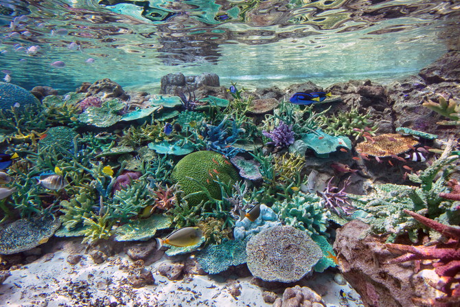 名古屋水族館