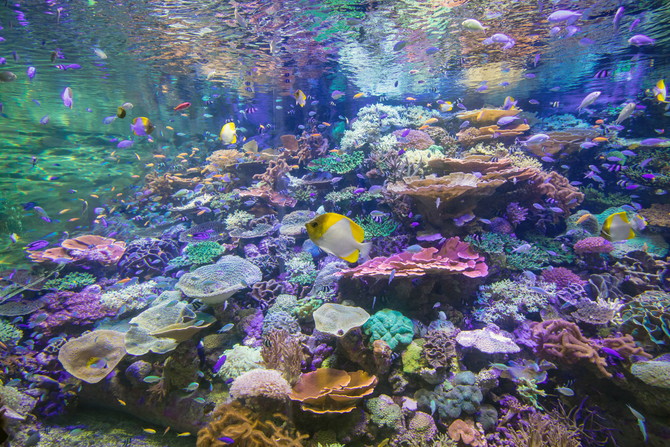 名古屋水族館