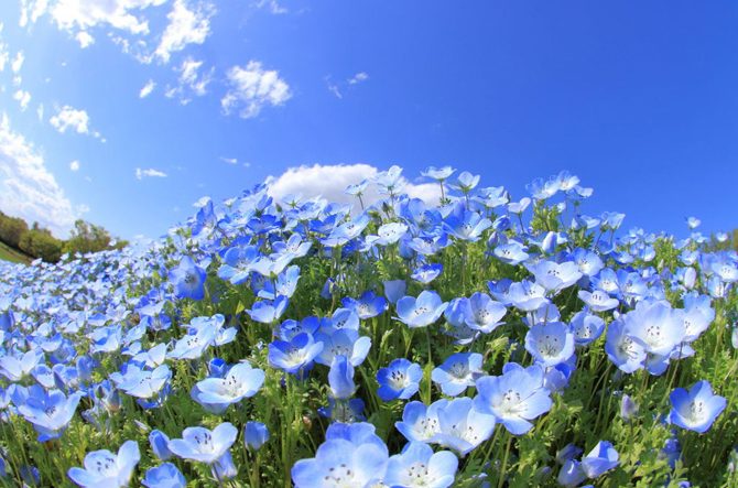 春に行きたい 埼玉 おすすめ観光スポット選 定番から穴場まで じゃらんニュース 春に行きたい 埼玉 おすすめ観光スポット選 定番から穴場まで じゃらんニュース