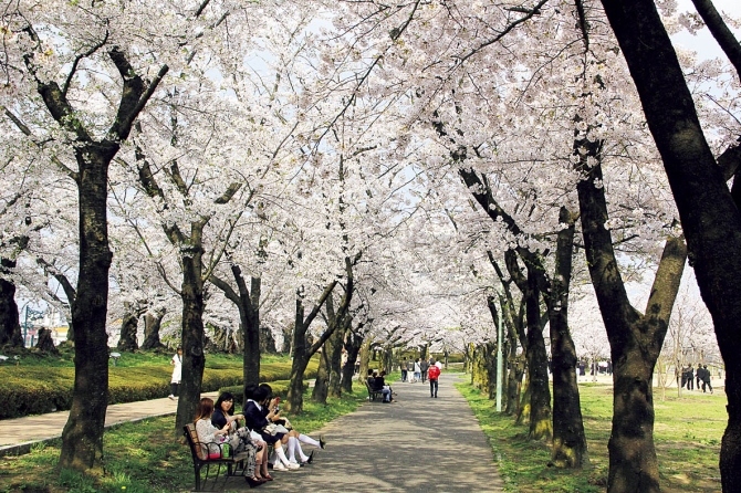 開成山公園