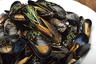 CHATAN HARBOR BREWERY & RESTAURANT