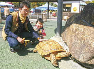 わんぱーくこうち　アニマルランド