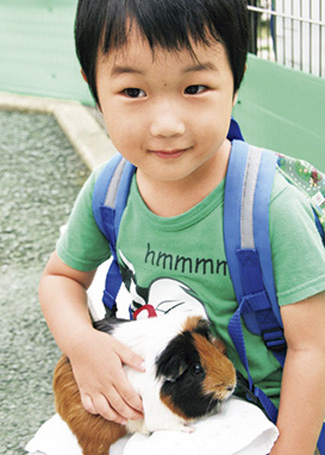 わんぱーくこうち　アニマルランド