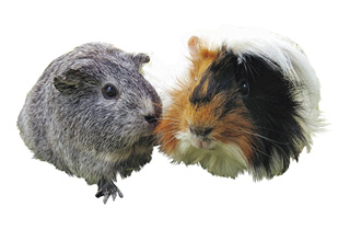 福山市立動物園