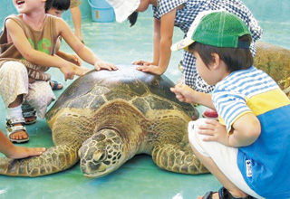 玉野市立玉野海洋博物館
