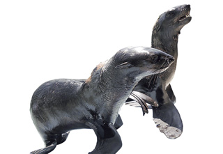 玉野市立玉野海洋博物館