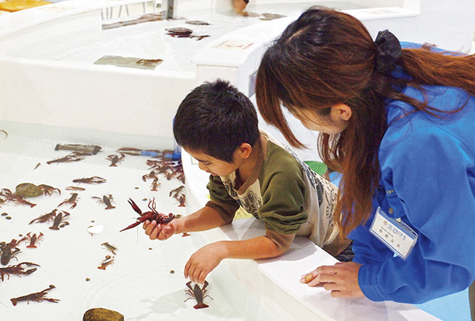島根県立宍道湖自然館 ゴビウス
