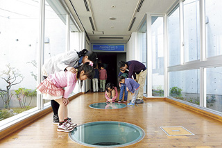 島根県立宍道湖自然館 ゴビウス