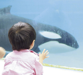 鴨川(かもがわ)シーワールド