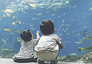 鴨川(かもがわ)シーワールド