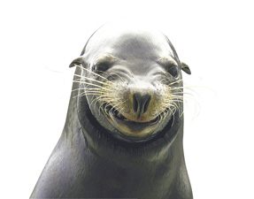 鴨川(かもがわ)シーワールド