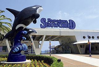 鴨川(かもがわ)シーワールド