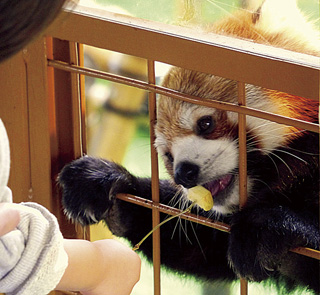 那須どうぶつ王国