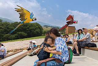 那須どうぶつ王国