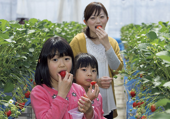 ドールランド みなかみ