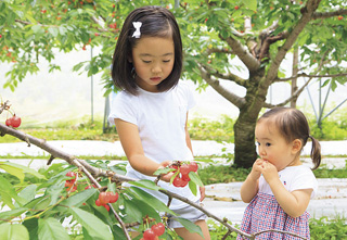 ドールランド みなかみ