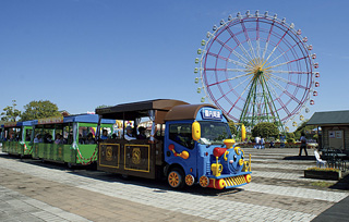 国営ひたち海浜公園