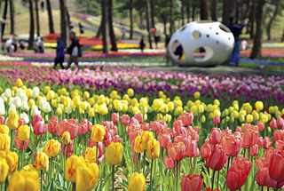 国営ひたち海浜公園