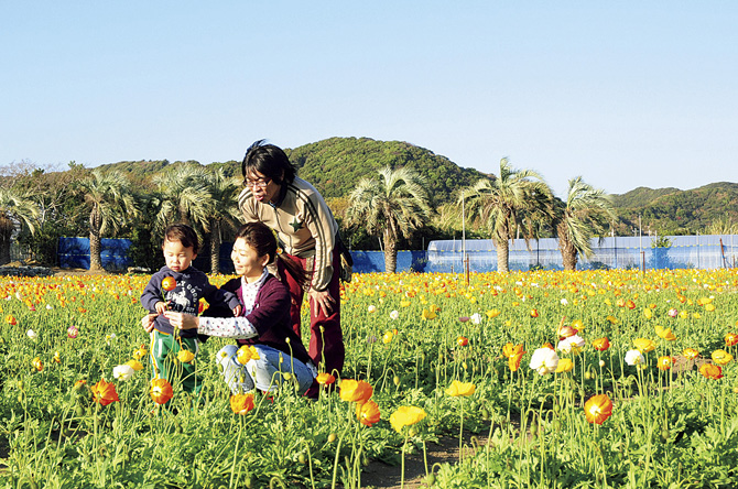 館山ファミリーパーク