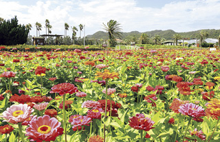 館山ファミリーパーク