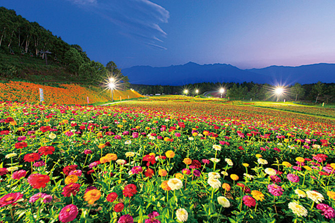 富士見高原リゾート 花の里