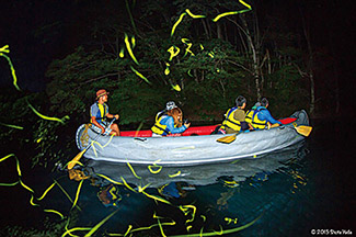 白馬ライオンアドベンチャー「湖上ホタルツアー」