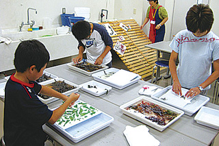 海の博物館