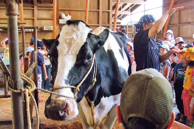 蔵王マウンテンファーム山川牧場