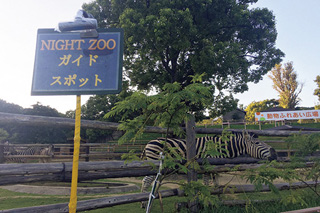 みさき公園