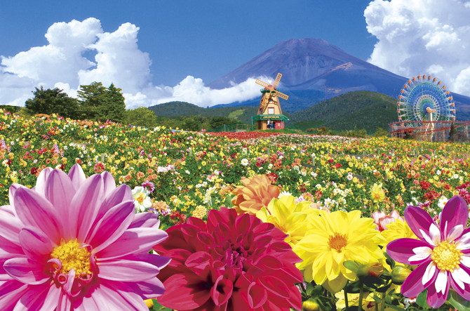 3万株が咲き誇る 天空のダリア祭り 富士山との豪華共演も 静岡 じゃらんニュース