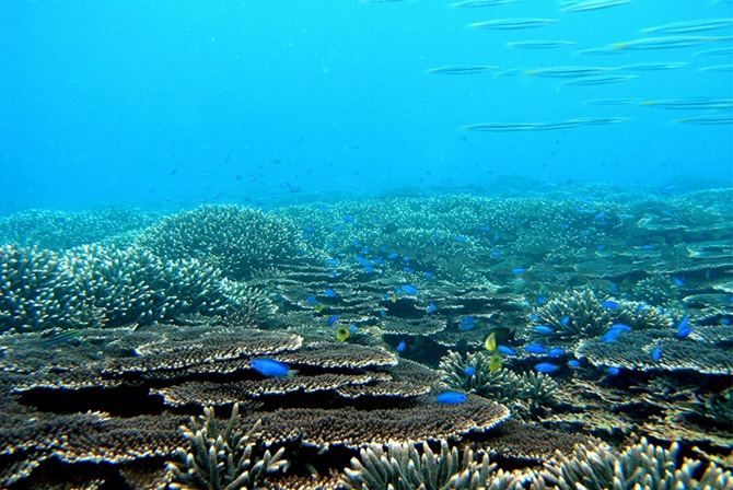 カップルにおすすめ 和歌山 デートスポット19選 定番から穴場まで じゃらんニュース