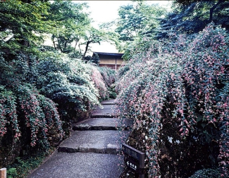 箱根美術館