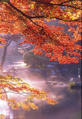 弥彦公園