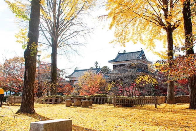 今週末がまさに見頃 関東のおすすめ絶景紅葉17選 11月3日 土 4日 日 2 じゃらんnet