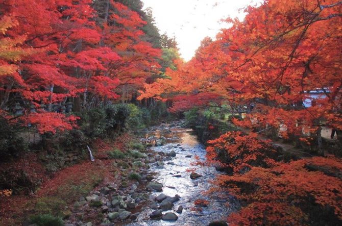 秋に行きたい 広島 おすすめ観光スポット19選 紅葉スポットも じゃらんニュース