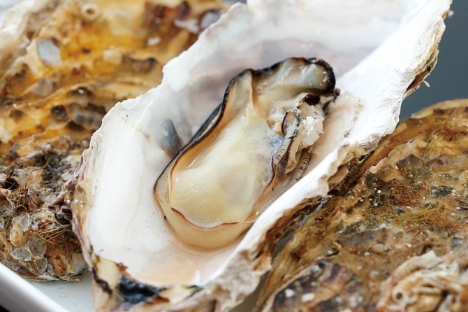 かき松島こうは 松島海岸駅前2号店